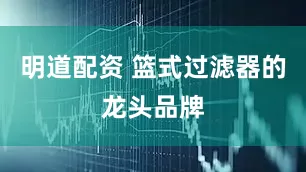 明道配资 篮式过滤器的龙头品牌